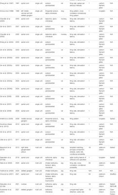 Studying Cardiac Neural Network Dynamics: Challenges and Opportunities for Scientific Computing